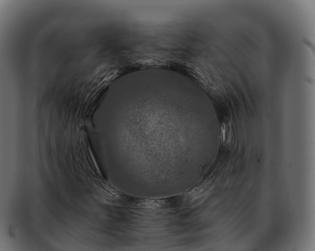 X0000092281251200710041404