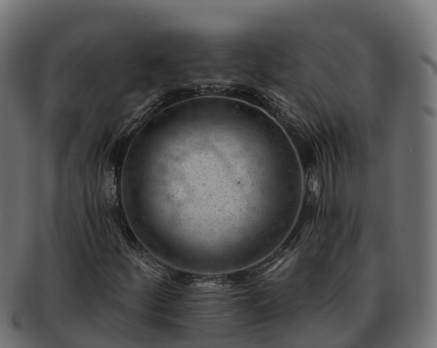 X0000092281252200710041404