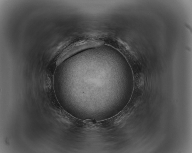 X0000092281253200710041404