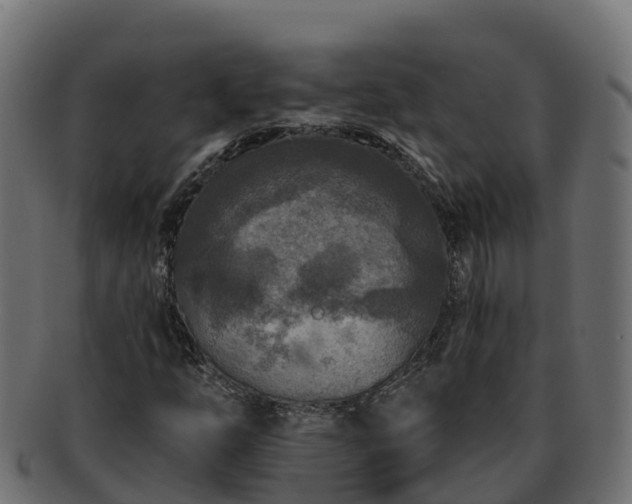 X0000092281254200710041404