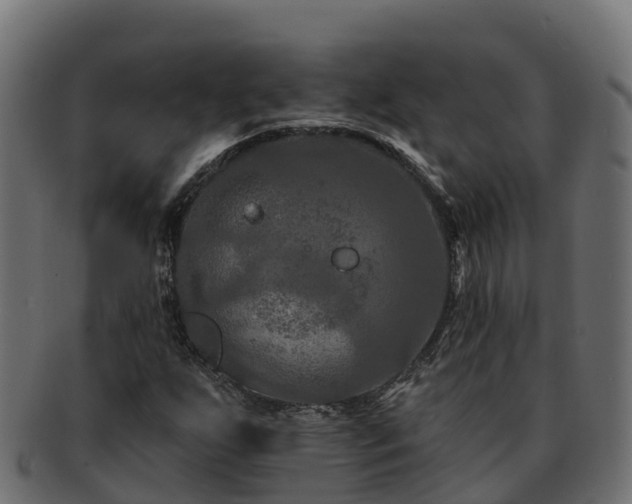 X0000092281255200710041404