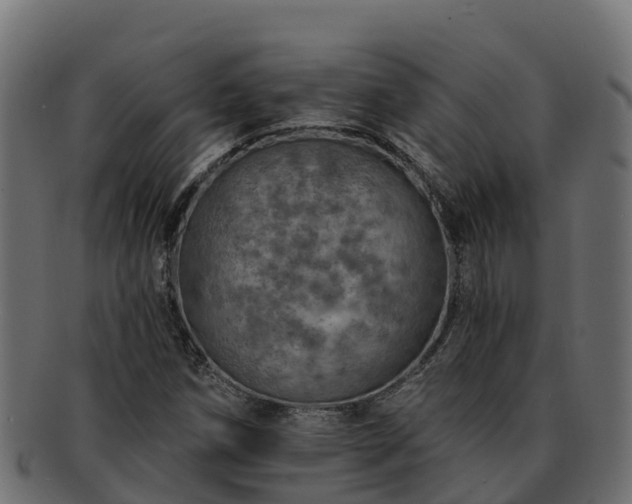 X0000092281258200710041404