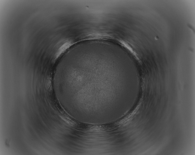 X0000092281259200710041404