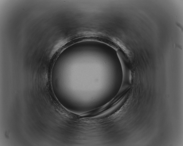 X0000092281261200710041404