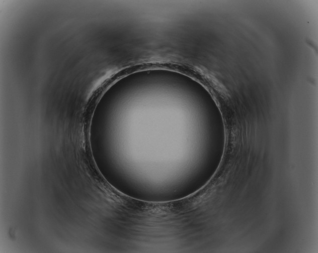 X0000092281262200710041404