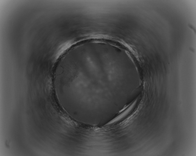 X0000092281263200710041404