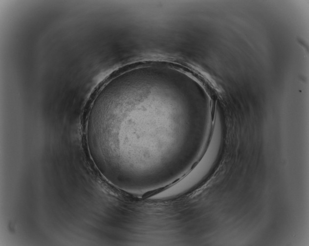 X0000092281264200710041404