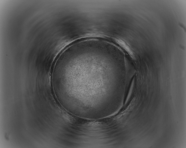 X0000092281268200710041404