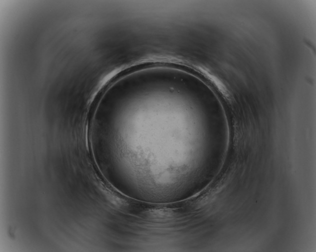 X0000092281272200710041404