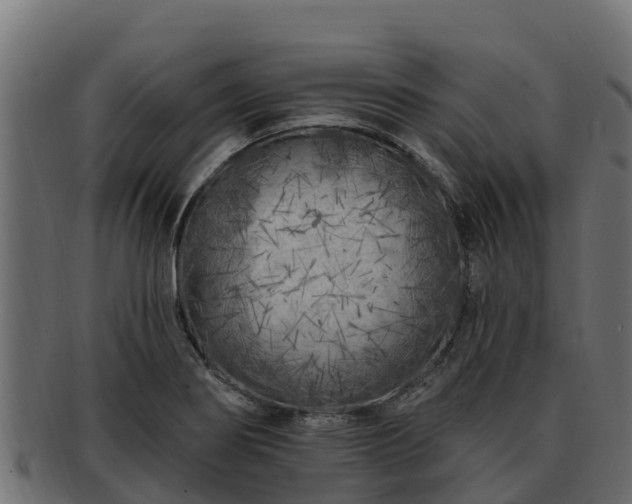 X0000092281274200710041404