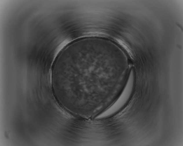 X0000092281275200710041404