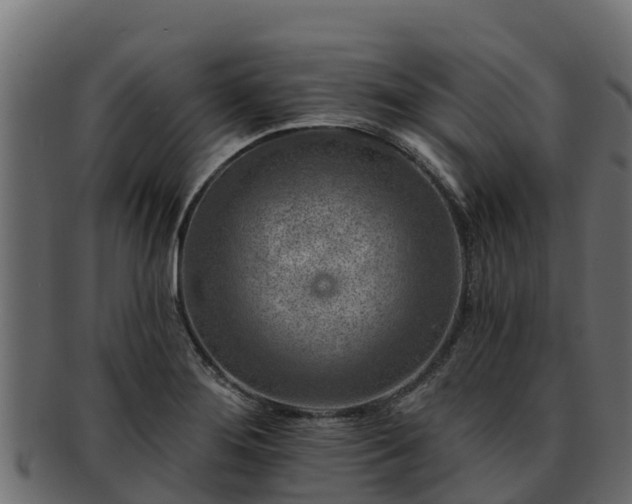 X0000092281276200710041404