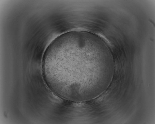 X0000092281278200710041404