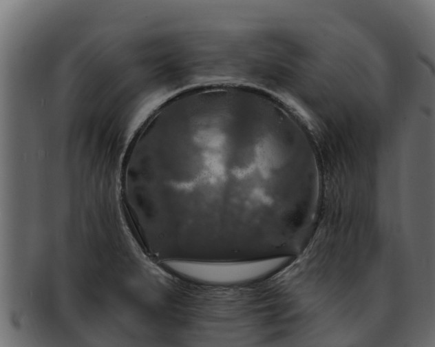 X0000092281279200710041404