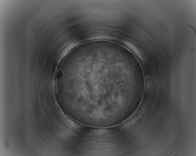 X0000092281282200710041404