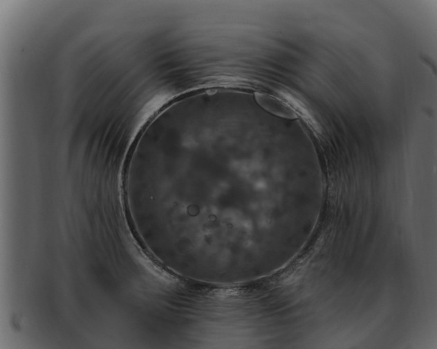 X0000092281283200710041404