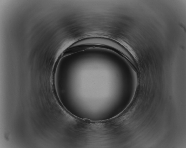 X0000092281285200710041404