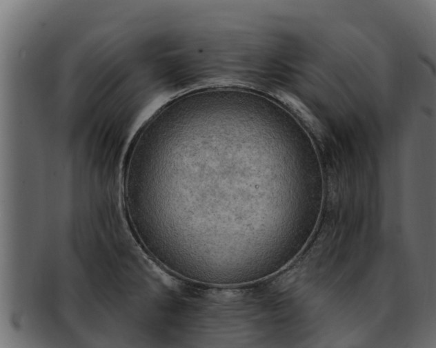 X0000092281286200710041404