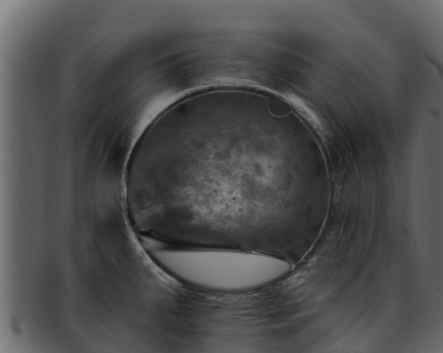 X0000092281287200710041404