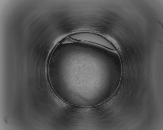 X0000092281288200710041404