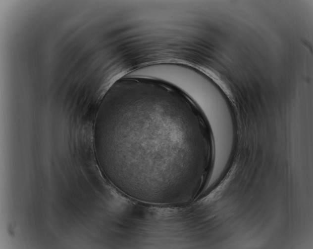 X0000092281289200710041404