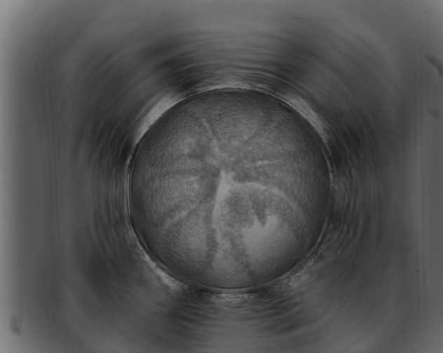 X0000092281290200710041404