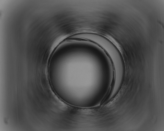 X0000092281293200710041404