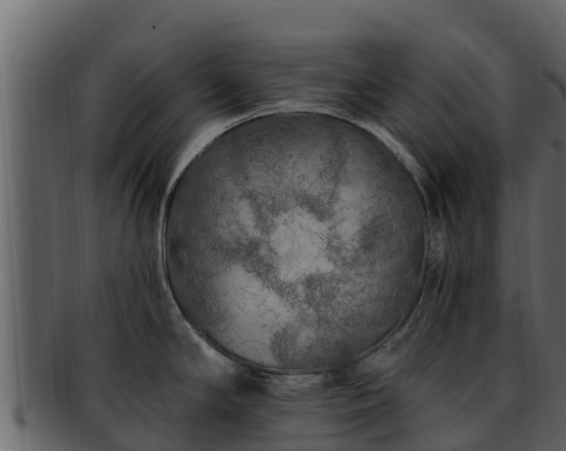 X0000092281294200710041404