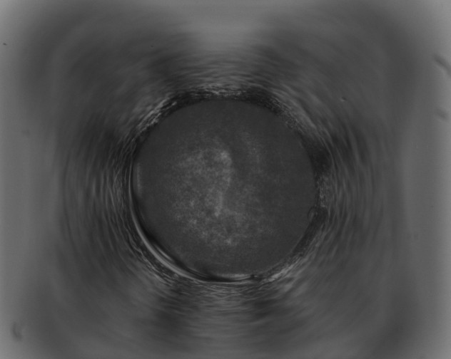 X0000092281298200710041403