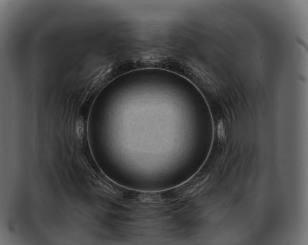 X0000092281299200710041403