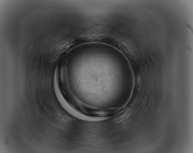 X0000092281300200710041403