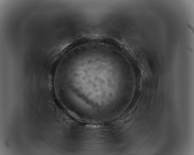 X0000092281301200710041403