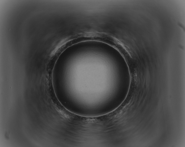 X0000092281304200710041403