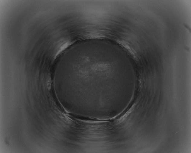 X0000092281306200710041403