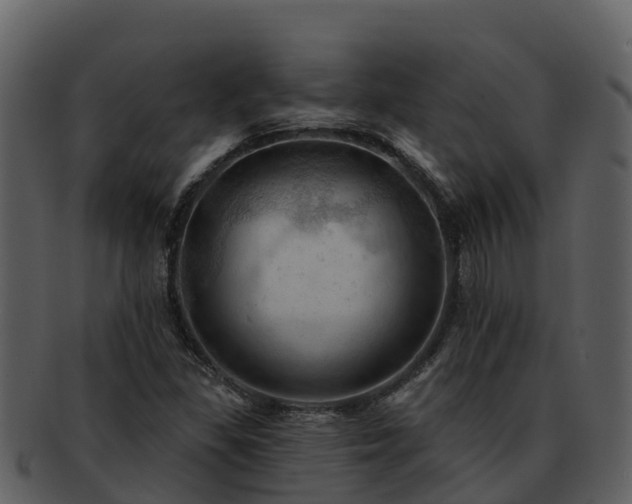 X0000092281309200710041403