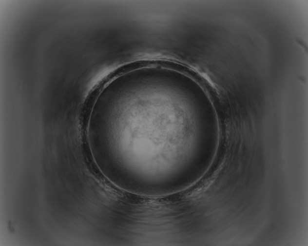 X0000092281311200710041403