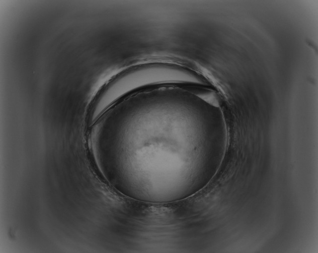 X0000092281312200710041403