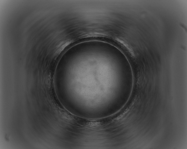 X0000092281313200710041403