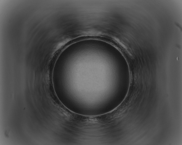 X0000092281315200710041403