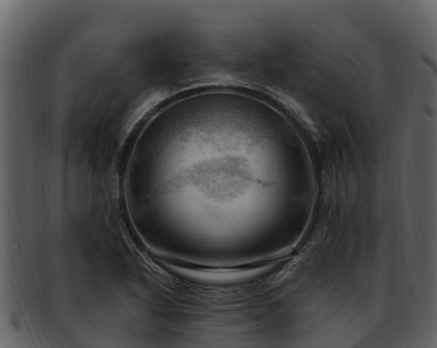 X0000092281318200710041403