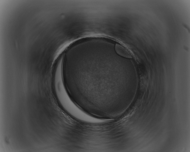 X0000092281319200710041403