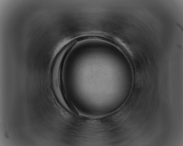 X0000092281320200710041403