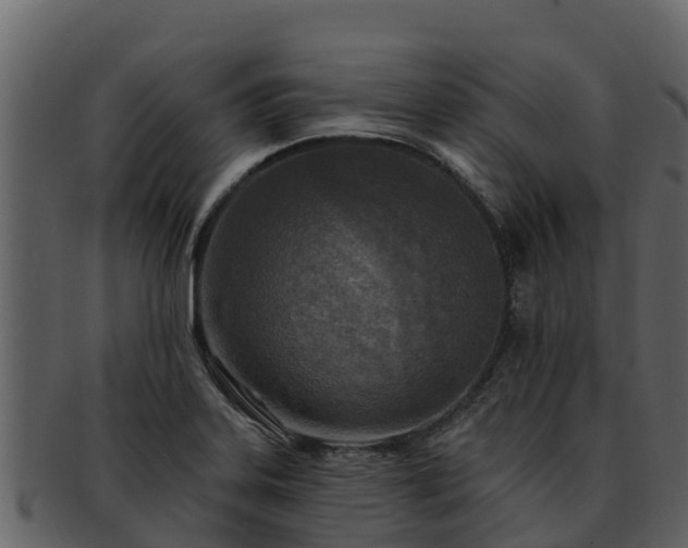 X0000092281323200710041404