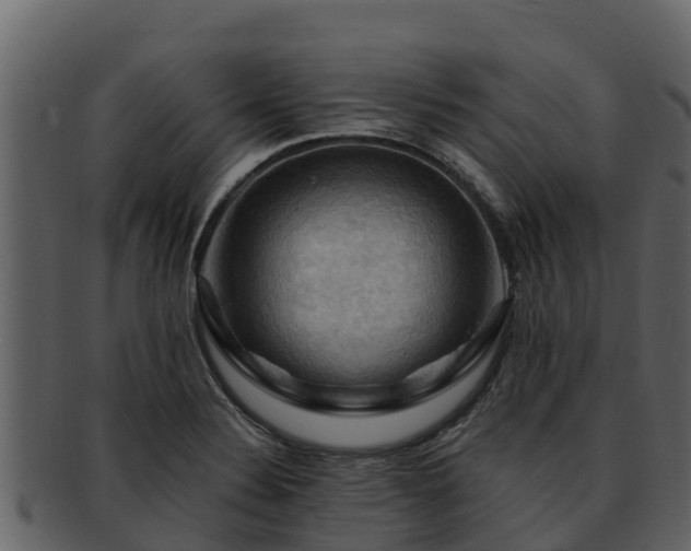 X0000092281324200710041404