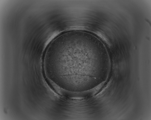 X0000092281325200710041404