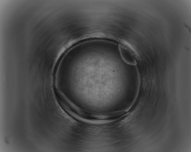 X0000092281326200710041404