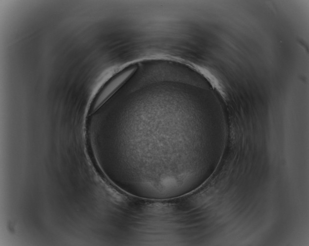 X0000092281327200710041404