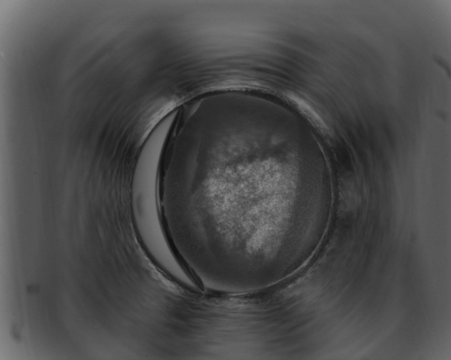 X0000092281329200710041404