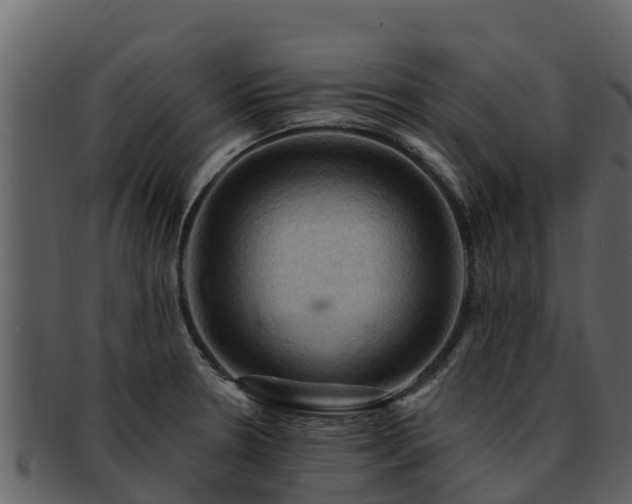 X0000092281330200710041404