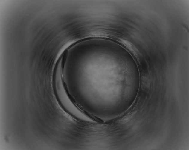 X0000092281331200710041404